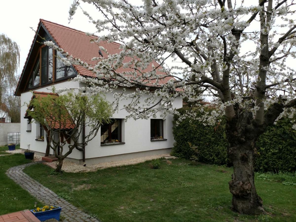 Holiday home Zur Alten Fahrschule *